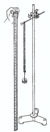 Fix nail and suspend spring with weight
